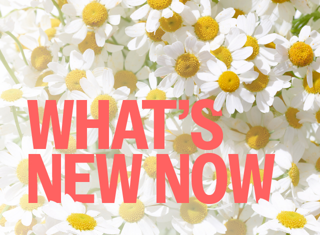 What's New Now